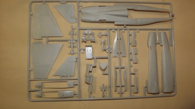 DSCF1820 (Custom).jpg